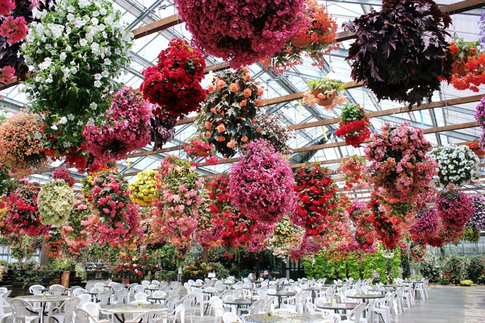 f0c62e6d0786e7fdbcf8360aa92dfd5f_m