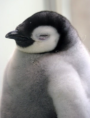 NewImage.png NewImage