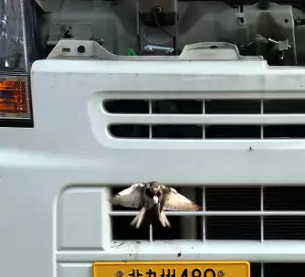 NewImage.png NewImage