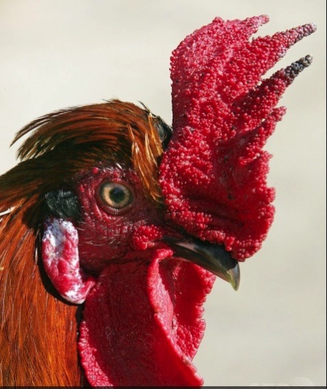 スクリーンショット 2015-07-24 22.08.20.jpg スクリーンショット 2015 07 24 22 08 20