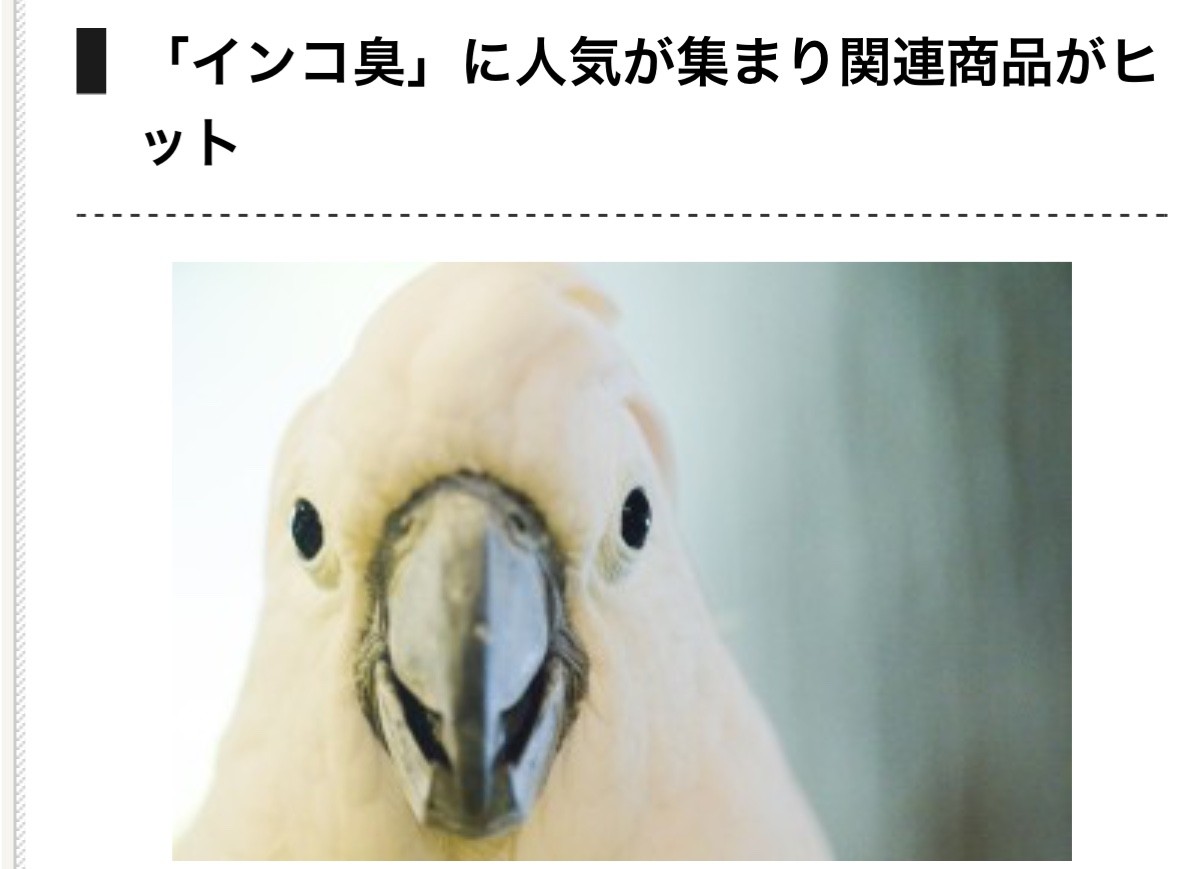 インコ臭が流行ってる 臭いに癒される人々 とりまとめ インコ臭が流行ってる 臭いに癒される人々 とりまとめ