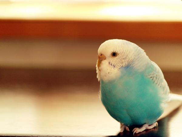 38bc6cec08e064831f187be969d677a1 m