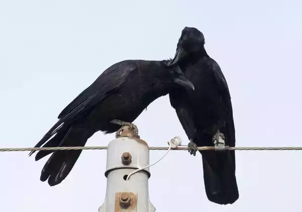 NewImage.png NewImage