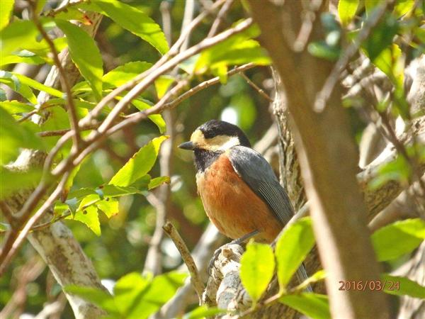 NewImage.png NewImage