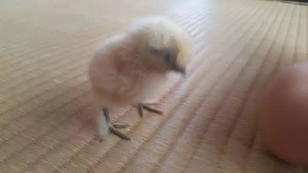 NewImage.png NewImage