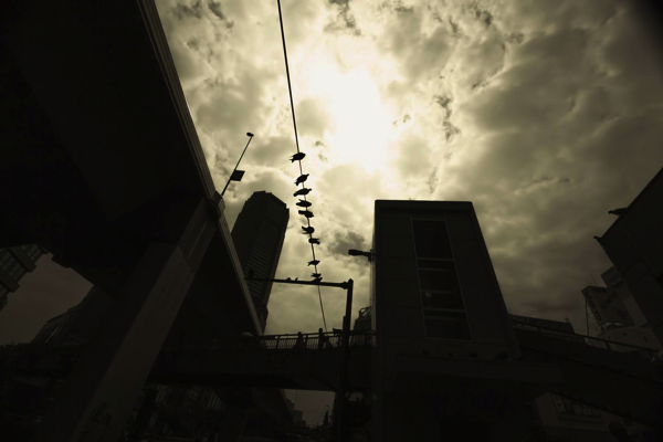 NewImage.png NewImage