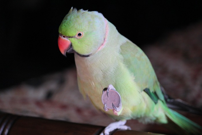 db5ace61048eaa6cb7a92a0832a10a79_m