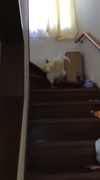 vlcsnap-2016-08-18-23h23m06s038.png Vlcsnap 2016 08 18 23h23m06s038