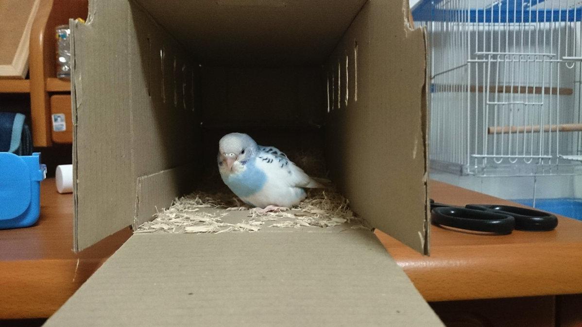 NewImage.png NewImage