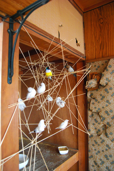 NewImage.png NewImage