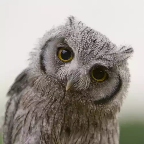 NewImage.png NewImage