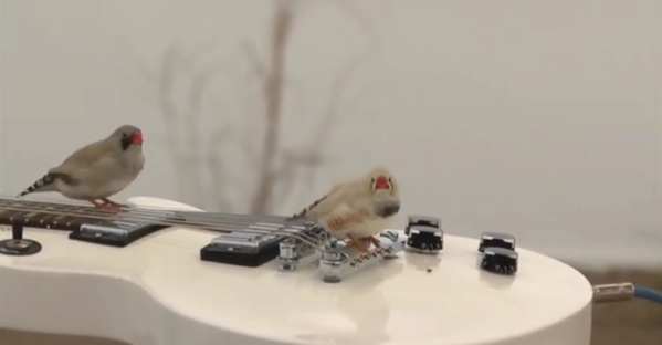 NewImage.png NewImage