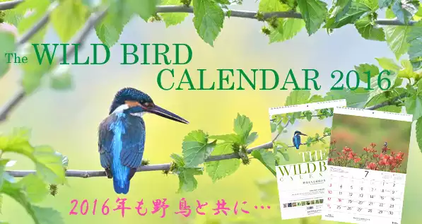 日本野鳥の会 来年のカレンダー写真募集中 とりまとめ