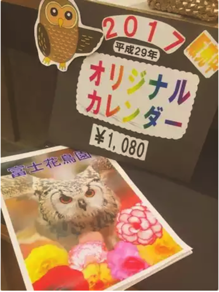 NewImage.png NewImage