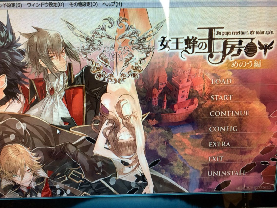 女王蜂の王房 めのう編 輝夜編 pc ソフト 乙女ゲーム 特典