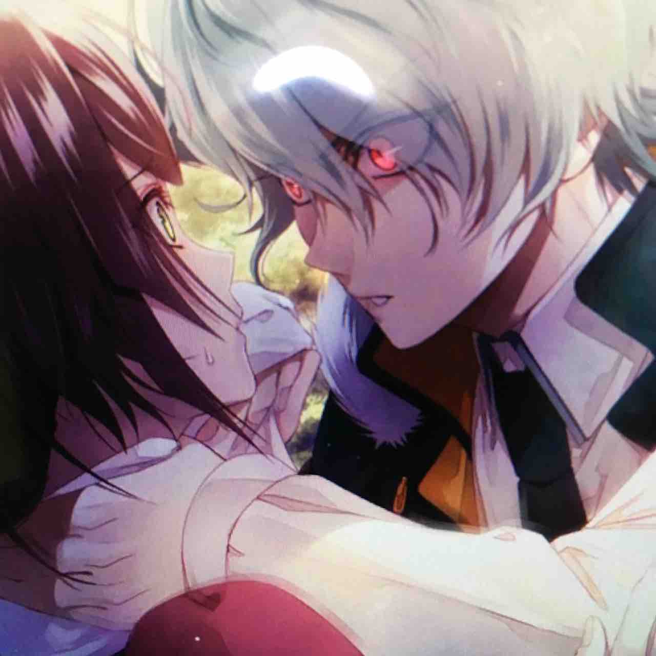 カラマリ カラーマリス 手帳風カードケース 笹塚尊 カラマリ カラーマリス 手帳風カードケース 笹塚尊