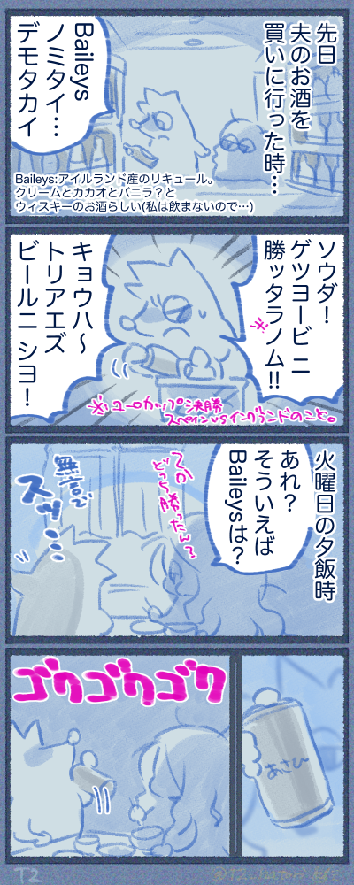 ユーロカップ決勝の記念に…