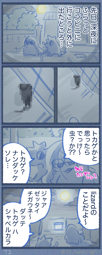 トカゲを発見
