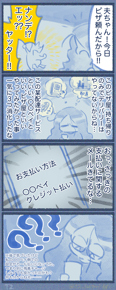 持ち帰りピザを配達サービス買う、決済のことは分からん