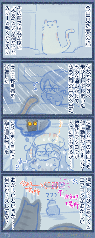 猫を拾う、フクロウを見る