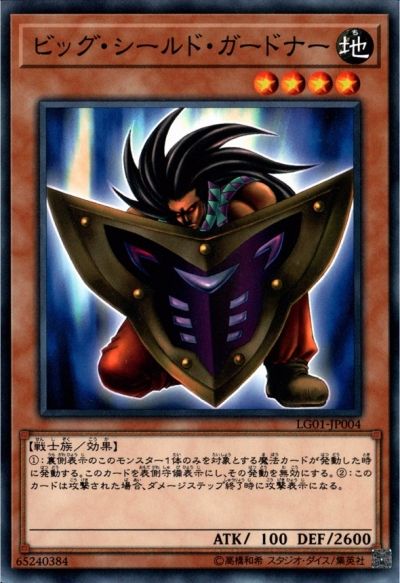 51295619