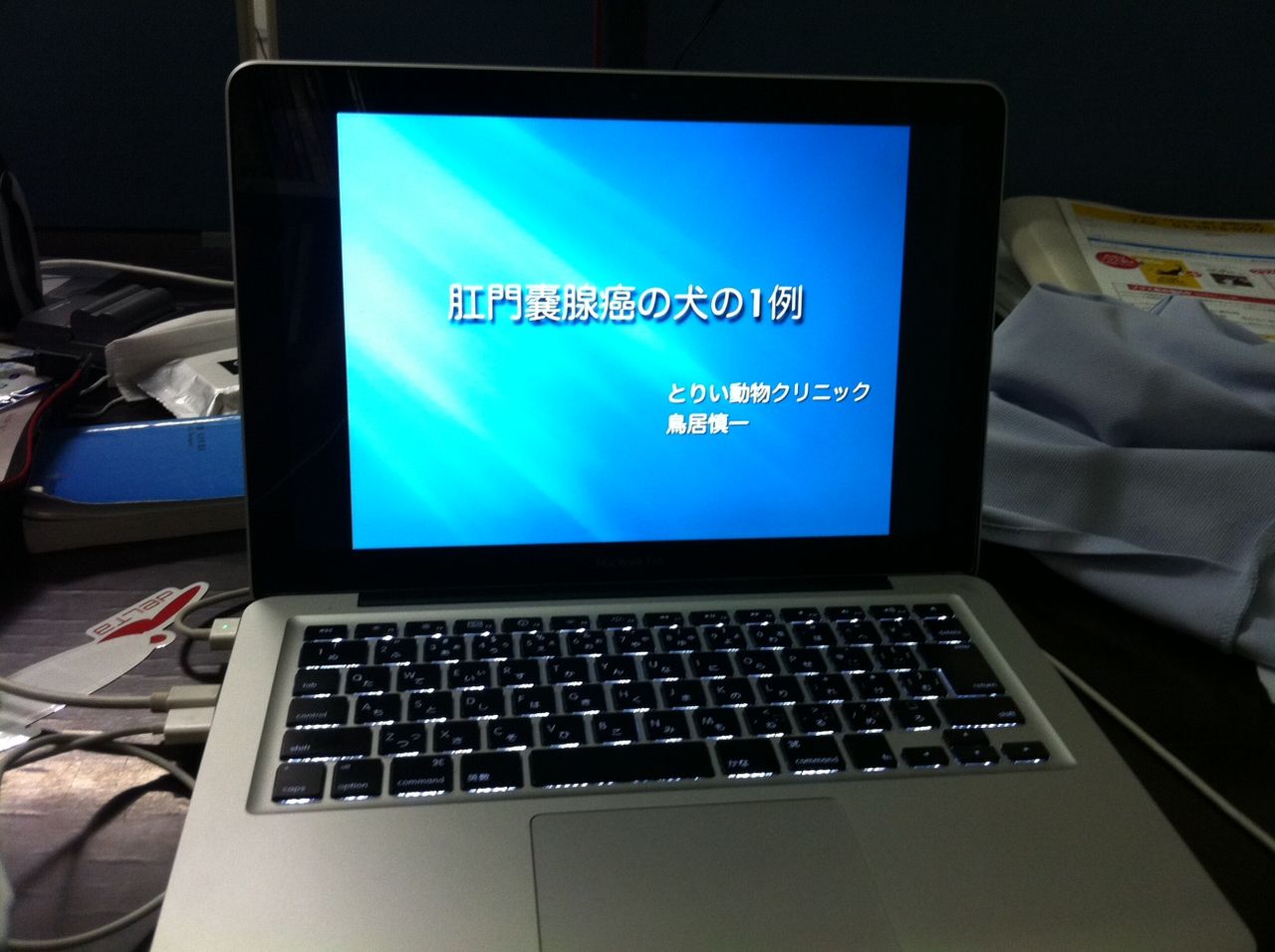 写真