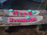 BochiBochi
