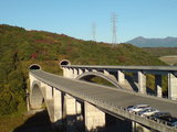 散歩道