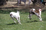 オフ会