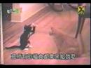 からて