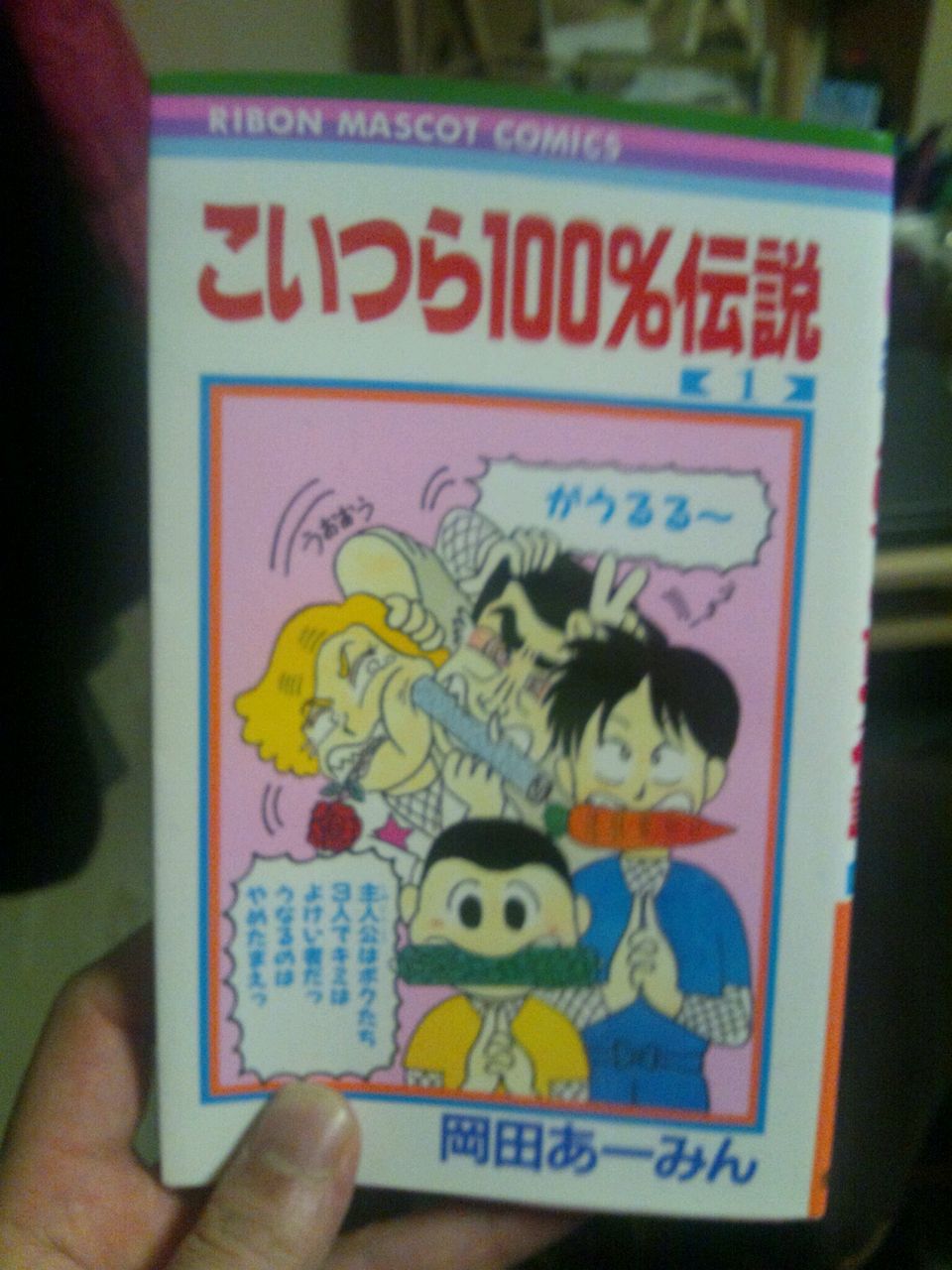 新年早々 岡田あーみん に思いを馳せる 鳥越勇作 ブログ 新年早々 岡田あーみん に思いを馳せる 鳥越勇作 ブログ