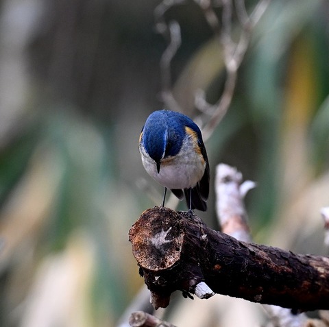 DSC_5107.jpg1