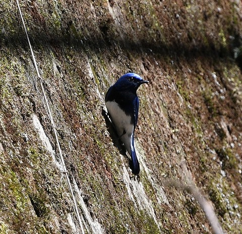 DSC_0188.jpg1