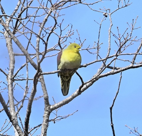 DSC_0576.jpg1
