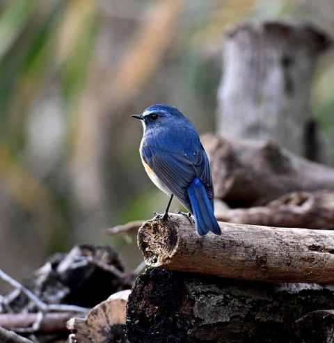 DSC_5120.jpg1