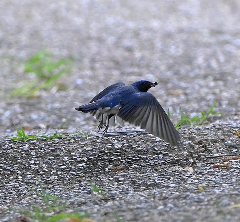 DSC_0108.jpg1