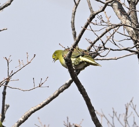 DSC_0637.jpg1