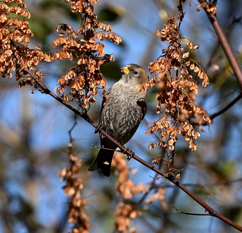 DSC_8324.jpg1