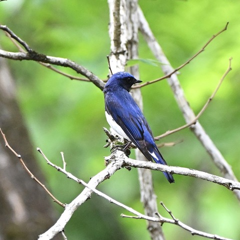 DSC_9989.jpg1