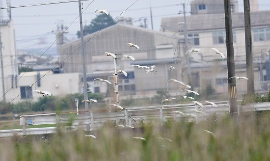 イメージ 16