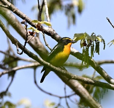 DSC_0426.jpg1