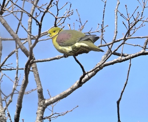 DSC_0537.jpg1