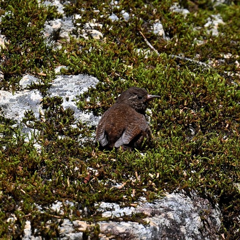 DSC_98901