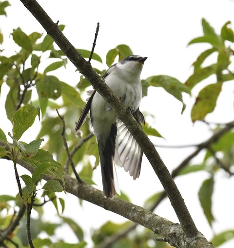 DSC_65871
