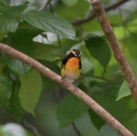 DSC_0260.jpg1