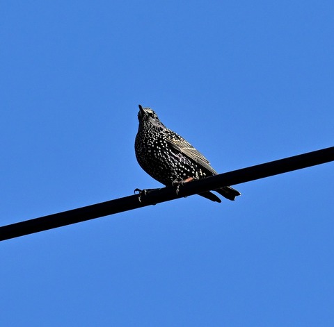 DSC_5573.jpg1