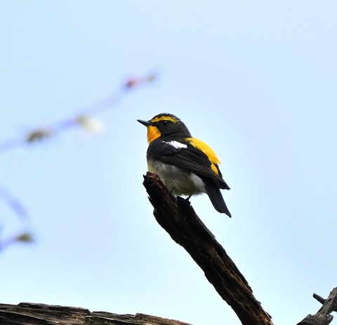 DSC_0197.jpg1
