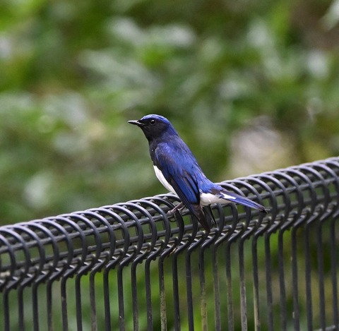 DSC_0015.jpg1