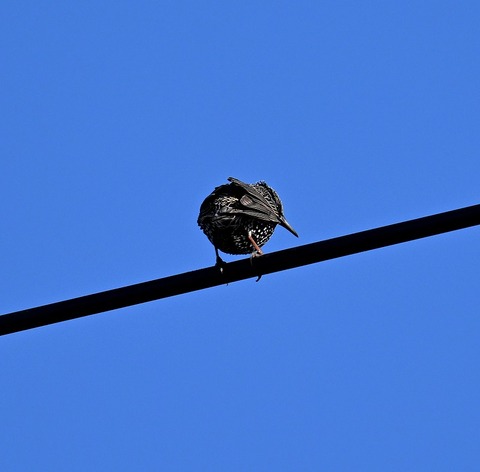 DSC_5602.jpg1