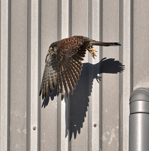 DSC_5540.jpg1